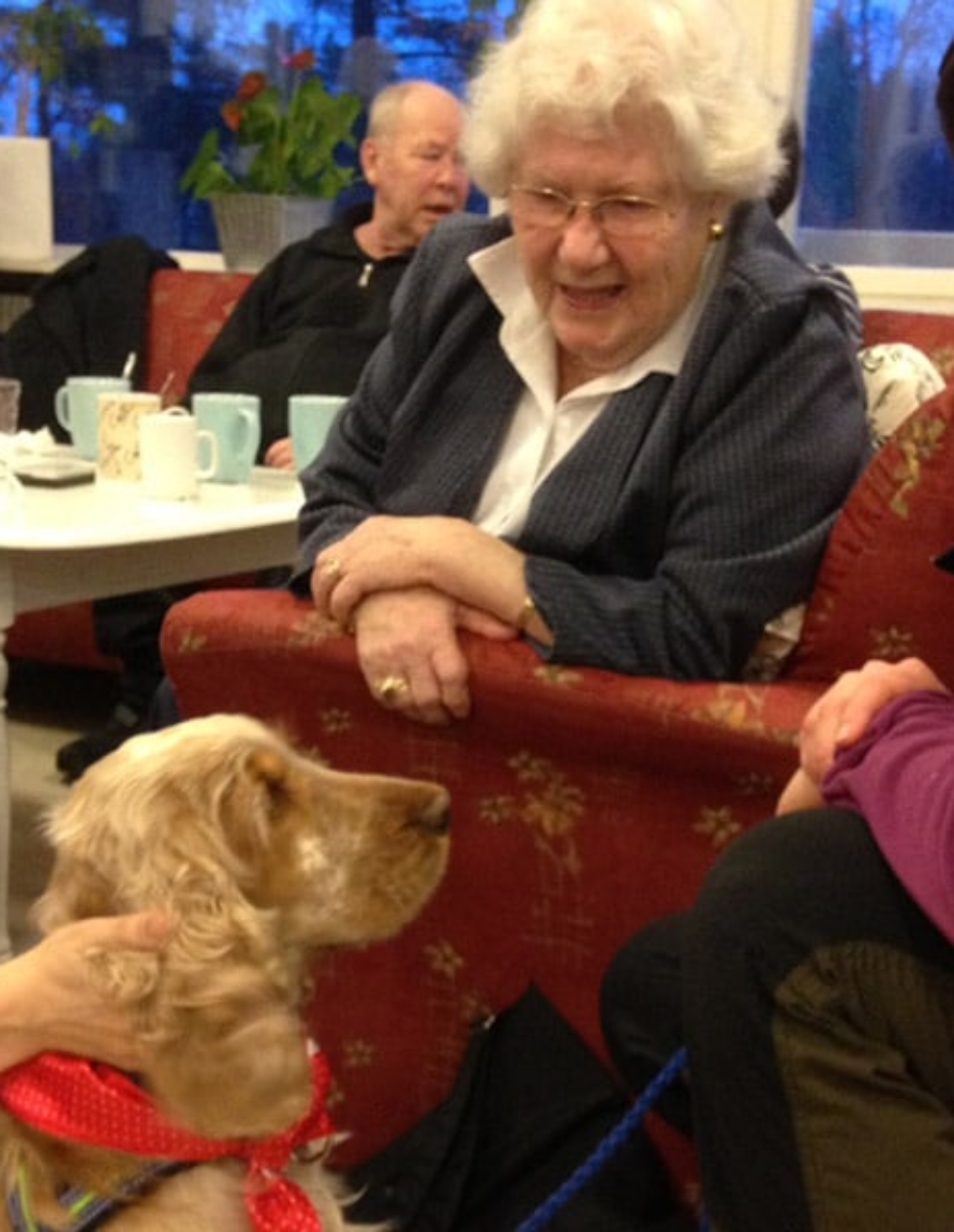 En gammel dame får besøk av en besøksvenn med hund