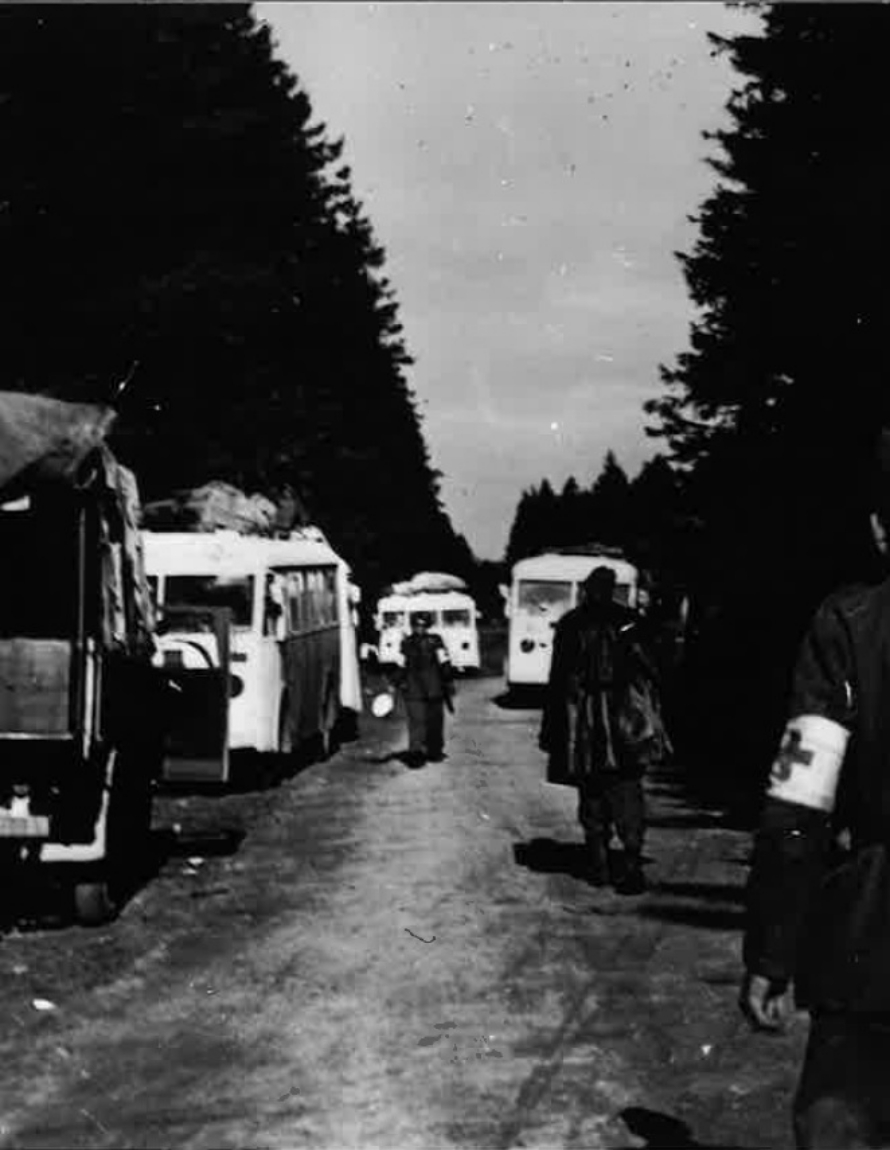 Et gammelt sort-hvitt bilde der hvite busser står parkert langs en smal vei. I forgrunnen en mann med ryggen til med røde kors-armbind.